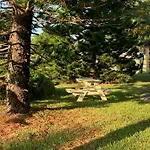 Vintage Vero Bungalow