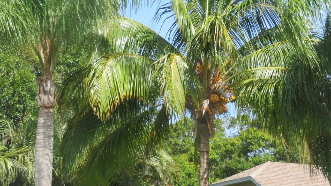 Luxury 3-bedroom Near Beaches With Pool Holiday home