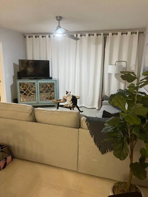 Harbor View, Short 7 Minute Walk To Beach. Apartment *