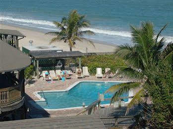 Driftwood 4*