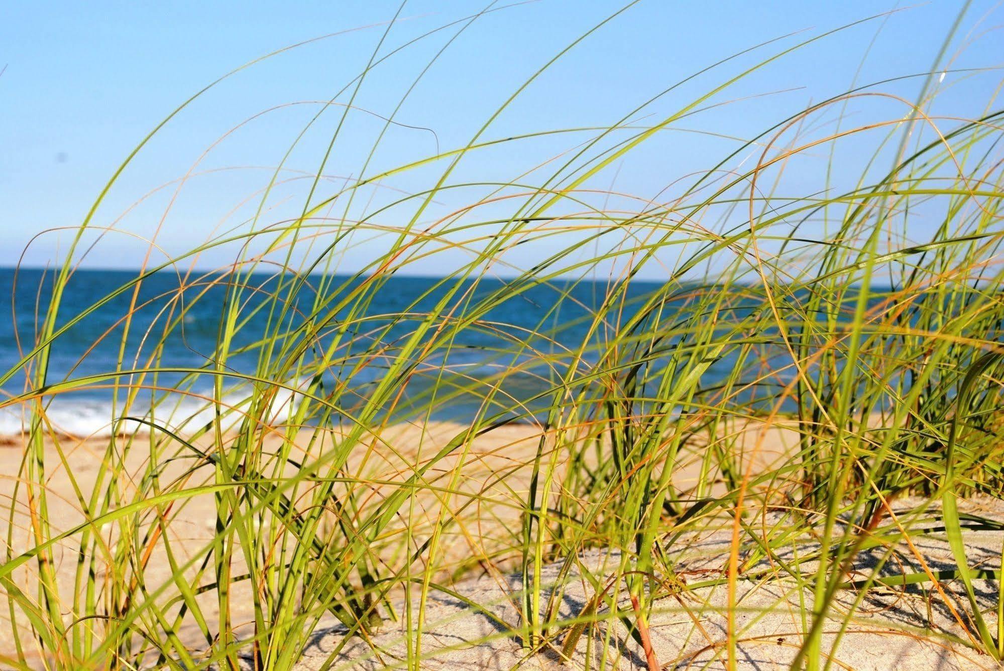 Seaspray Surf Hotel